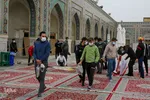 تجمع ورزشکاران مشهدی در محکومیت هتک حرمت به ائمه اطهار(ع)
