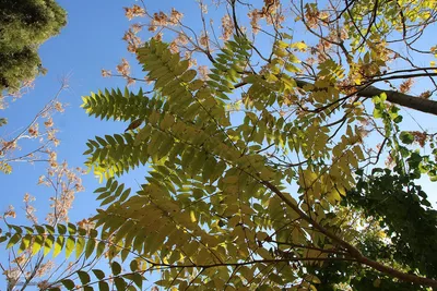پاییز خراسان جنوبی