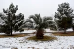 برف، رحمت الهی در سمنان