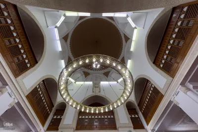 زیارت دوره زائران در مدینه منوره