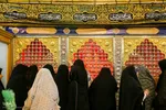 ویژه‌برنامه «مجاهدان شهید»