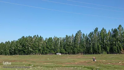 طبیعت بهاری شهرستان اهر در یک نگاه