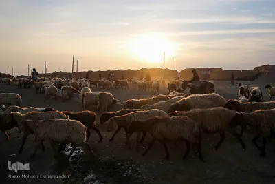 آب به بشیرآباد رسید
