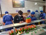 جشن روز طبیعت جهادگران در کنار بیماران کرونایی
