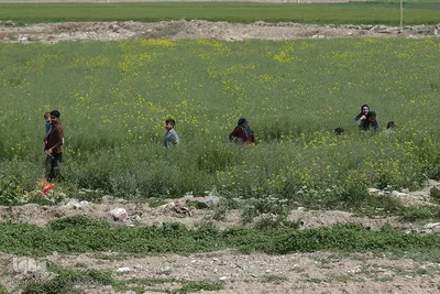 روز طبیعت با چاشنی کرونا