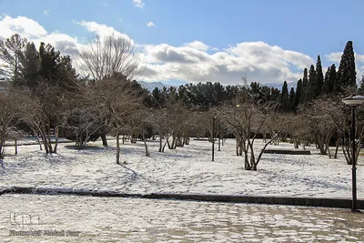 نخستین برف زمستانی در خراسان‌جنوبی