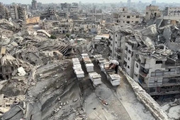 İsrail'in yerle bir ettiği Gazze'de umudunu yitirmeyen arıcı, mesleğini apartman çatısında sürdürüyor