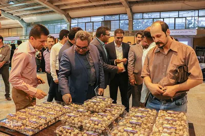 جشنواره سراسری اقتصاد و فرهنگ روستا – اراک/عکاس:طاها نظیری