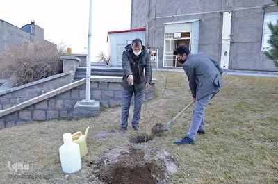 مراسم روز درختکاری در دانشگاه صنعتی سهند‎‎