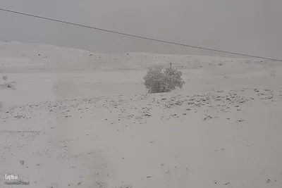 بارش برف بهاری در ارتفاعات روستایی اهر
