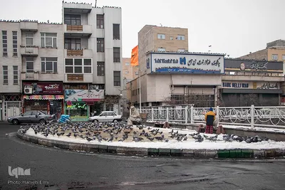 چهارراه کبوترها‎‎