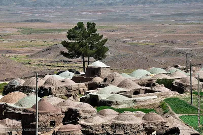اروی جهادی در روستاهای محروم خراسان جنوبی
