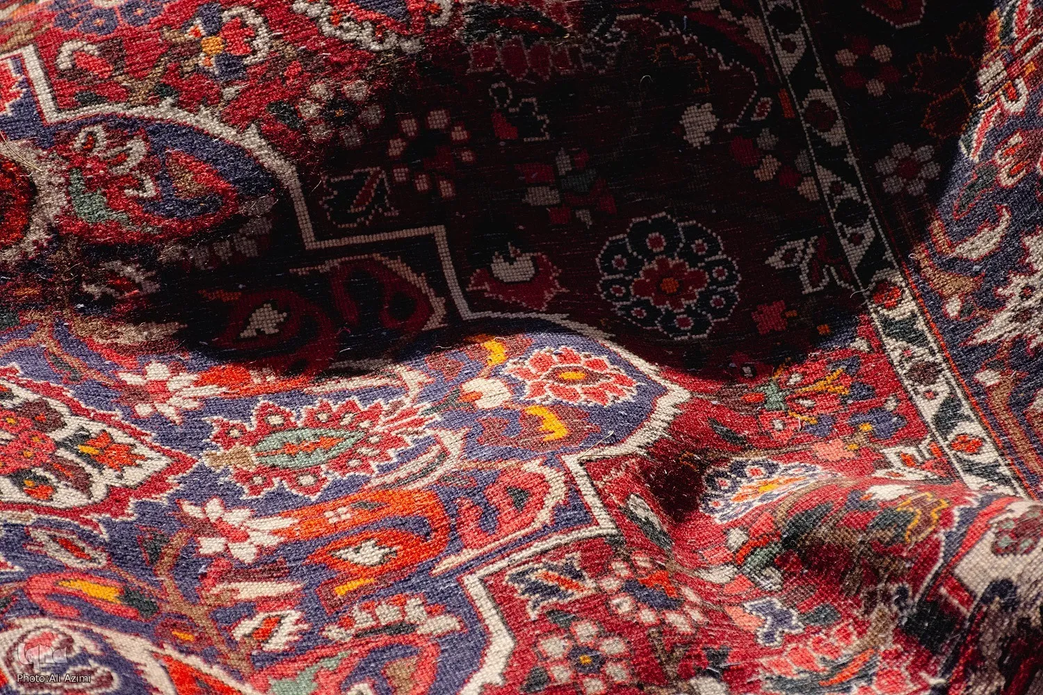 از «فرش» چشم به جهان می‌گشاییم 
