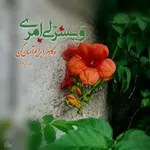 آیه گرافیک