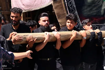 مراسم نخل‌برداری به مناسبت شهادت امام رضا(ع) در یزد‎