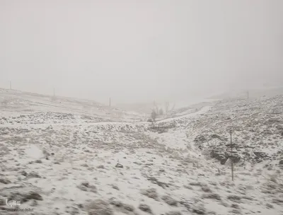 بارش برف در شهرستان اهر