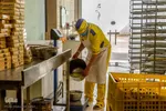 گز، مشهور‎ترین سوغات اصفهان