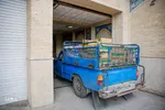 توزیع ۱۵۰۰ بسته معیشتی از محل نذورات حرم شاهچراغ(ع)