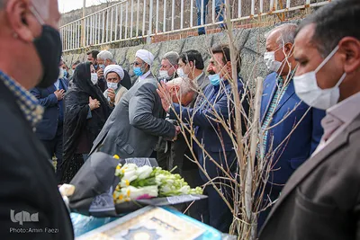 بخشش و سازش‎
