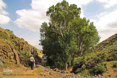 طبیعت ارتفاعات روستای مزرعه و قلعه شیور