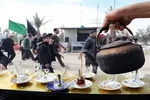 ثبت‌نام 100 موکب اربعینی از فارس تاکنون