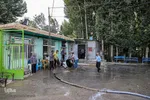 آیین پخت و توزیع ۱۵۰دیگ غذای نذری-مبارکه اصفهان ‎‎