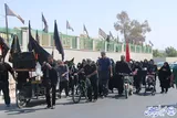 عکس | شور عظیم جاماندگان اربعین حسینی در بوشهر