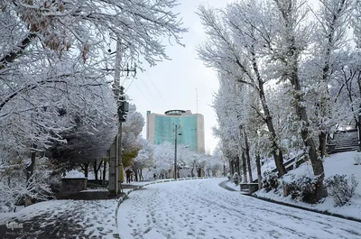بارش اولین برف پاییزی در تبریز‎