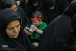 همایش شیرخوارگان حسینی در حرم حضرت معصومه (س)