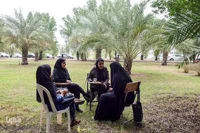 زندگی در دانشگاه