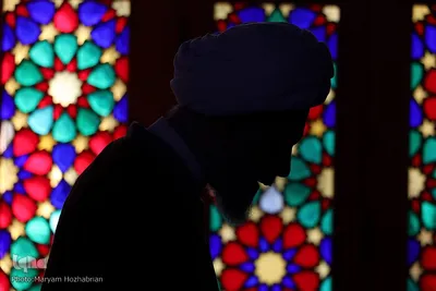 نشست تخصصی جامعه ی قرآنی استان فارس در مسجد نصیرالملک