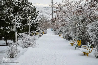 چهره برفی تبریز
