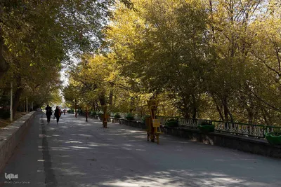 طبیعت پاییزی تبریز