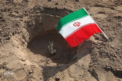 غرس نهال در روز طبیعت