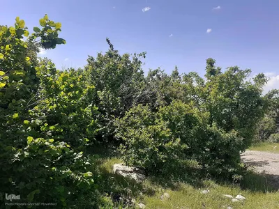 طبیعت بکر و زیبای منطقه گردشگری فندقلوی اهر