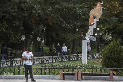 تنهاییِ همراهی