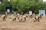 مراسم پایان دوره ۱۱۶ تکاور نزاجا در فارس