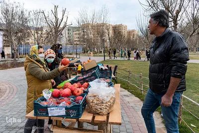 نخستین جشنواره انار کرج