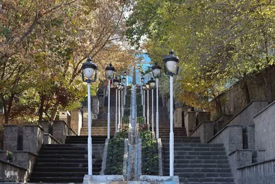 طبیعت پاییزی تبریز