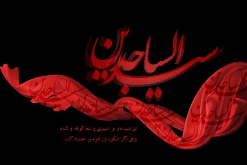 کتابخانه تخصصی امام سجاد(ع) در نورلایب به‌روز شد