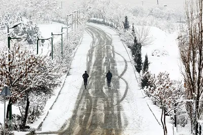 تهران برفی