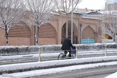 سپیدی برف بر تار پود تن تبریز