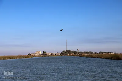 تالاب شادگان