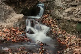روز قم