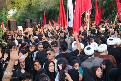 تجمع شیرازی‌های غیور علیه ضاربین بانوی آمر