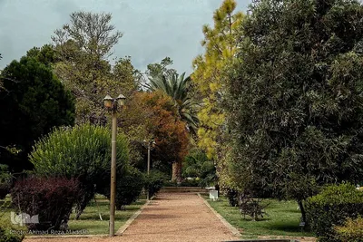 جلوه گری پاییز در باغ ارم شیراز