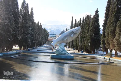 آغاز زمستان در خراسان‌جنوبی