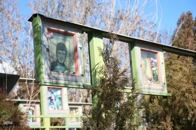 تجدید میثاق دانشگاهیان استان مرکزی با شهدا‎