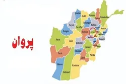 د پروان د استېناف محکمې مشر ووژل شو