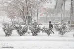 بارش سنگین برف در تبریز‎